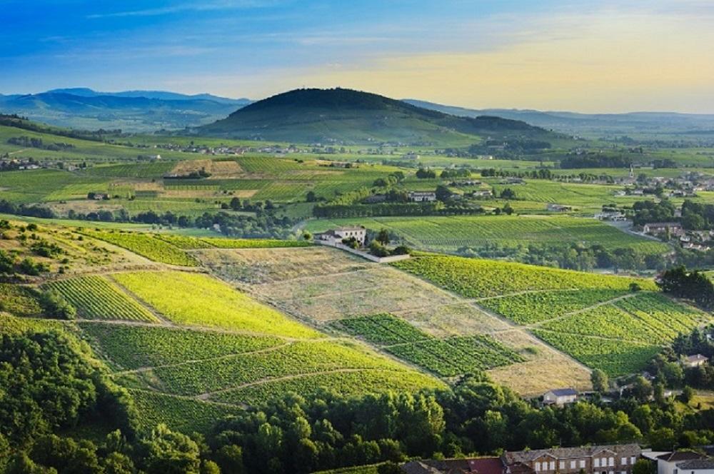 Beaujolais brouilly